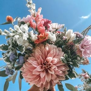 Meet your Posher, BudgetBFFs